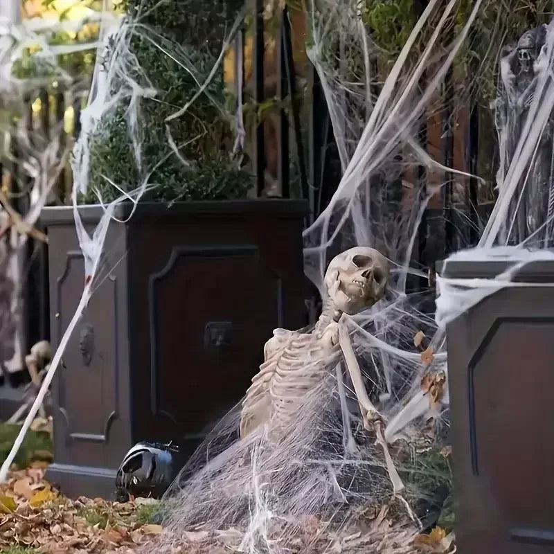Stretchable Halloween Spider Web with 2 Spiders – Spooky Indoor & Outdoor Decoration