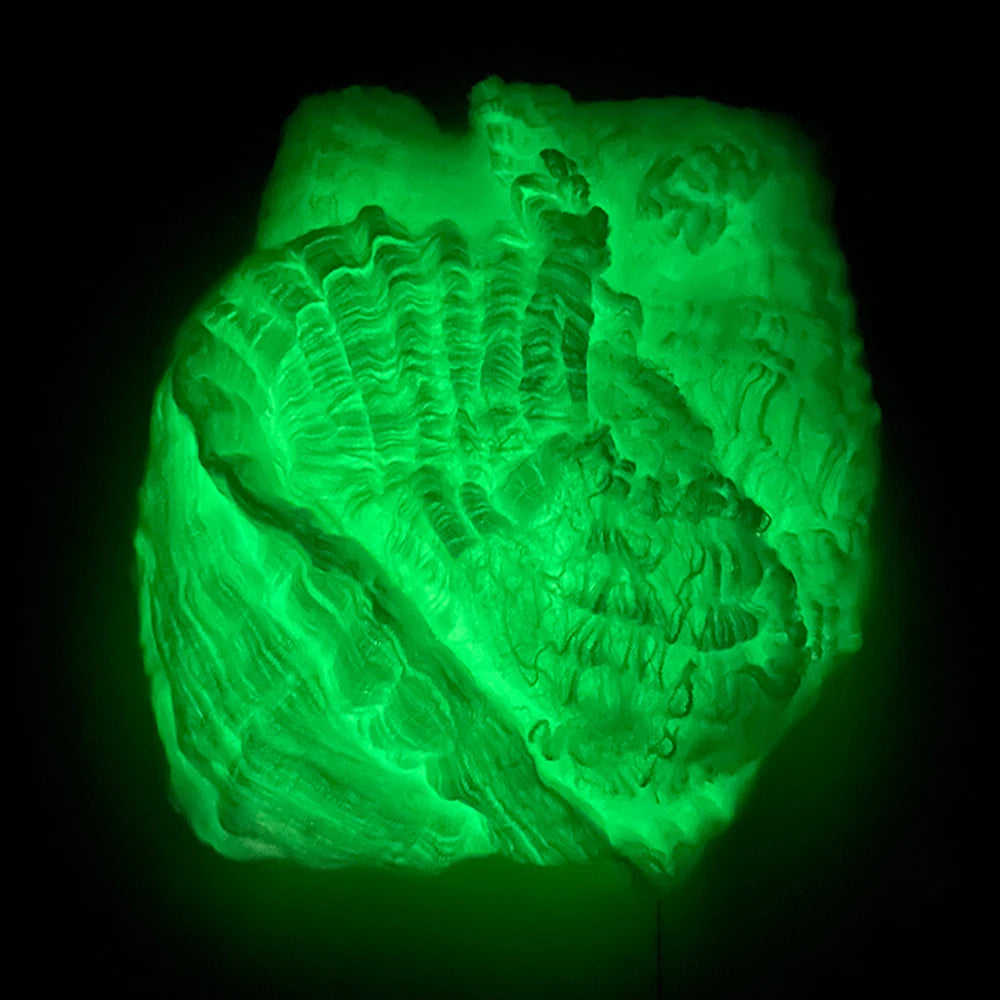 Glow-in-the-Dark Halloween Spider Web – Fluorescent Cobweb with Spiders