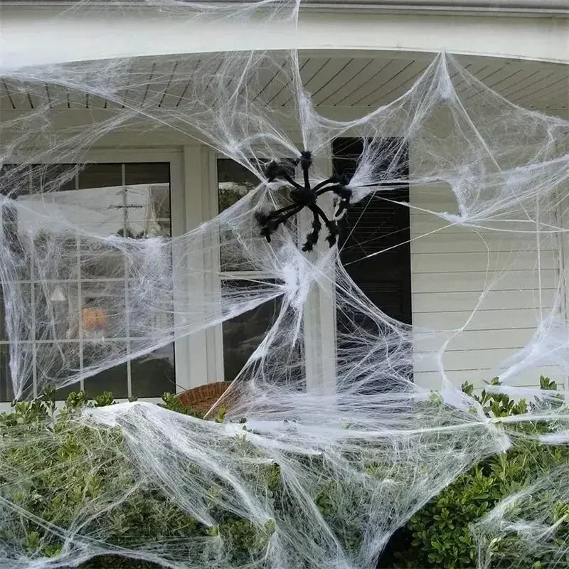 Stretchable Halloween Spider Web with 2 Spiders – Spooky Indoor & Outdoor Decoration