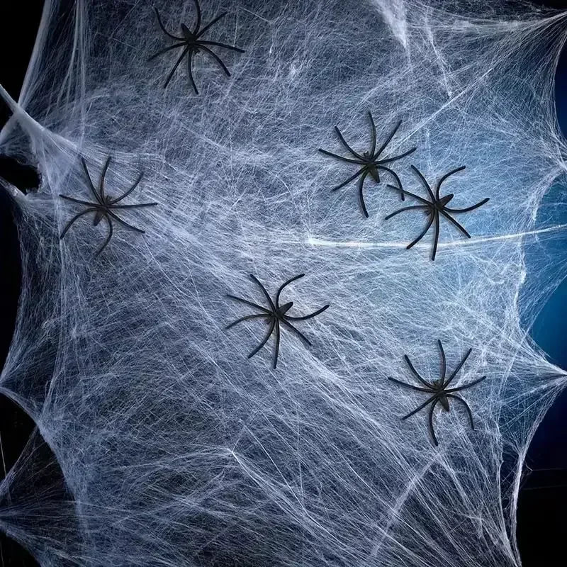 Stretchable Halloween Spider Web with 2 Spiders – Spooky Indoor & Outdoor Decoration